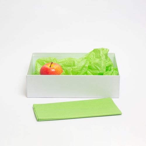 Бумага упаковочная тишью, салатовая, в листах 50 х 65см