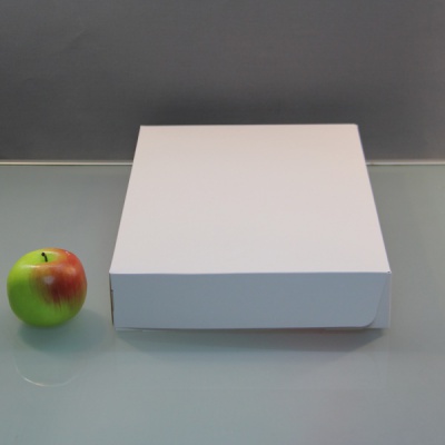 Картонные коробки 40х6х28см, цвет - белый, материал - картон, ламинация - матовая, фото 3 