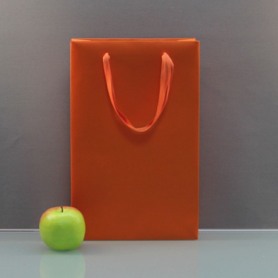 Пакет 23x36x10, оранжевый, меловка