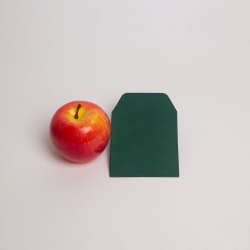 Конверты 9х10, цвет - зеленый, материал - дизайнерская бумага, ламинация - без ламинации, фото 1 (вид спереди)