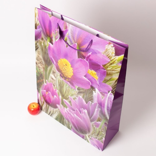 Пакет  50х71x17, цветы крокусы, меловка