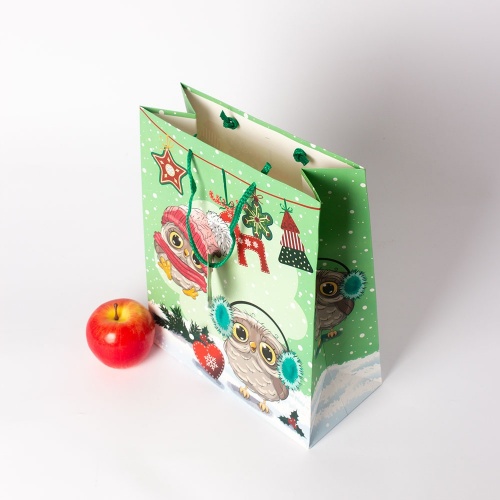 Пакеты бумажные 26х32х12см, цвет - зеленый, материал - мелованная бумага, ламинация - глянец, ручки - шнур, фото 4 