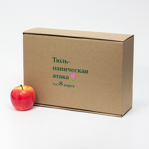 Коробка самосборная с откидной крышкой 22х10х33, Т23Е бур/бур, «Тюльпаническая атака», бурый