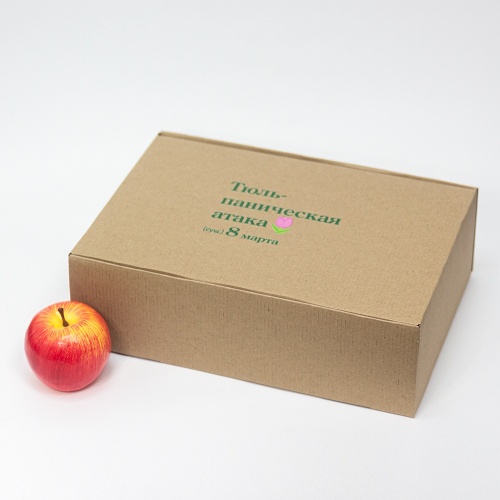 Коробка самосборная с откидной крышкой 22х10х33, Т23Е бур/бур, «Тюльпаническая атака», бурый