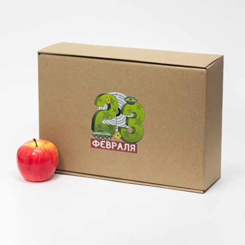 Коробка самосборная с откидной крышкой 22х10х33, Т23Е бур/бур, «23 февраля прицел», бурый