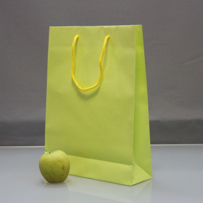 Пакеты бумажные 30х40х10см, цвет - зеленый, материал - дизайнерская бумага, ламинация - без ламинации, ручки - шнур, фото 2 