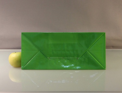 Сумки 37х45х16см, цвет - зеленый, материал - полипропилен, ламинация - глянец, ручки - плоские полипропиленовые, фото 3 