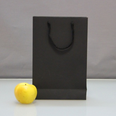 Пакеты бумажные 21х32х8см, цвет - черный, материал - дизайнерский картон, ламинация - без ламинации, ручки - шнур, фото 1 (вид спереди)